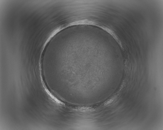 X0000060220998200510281103