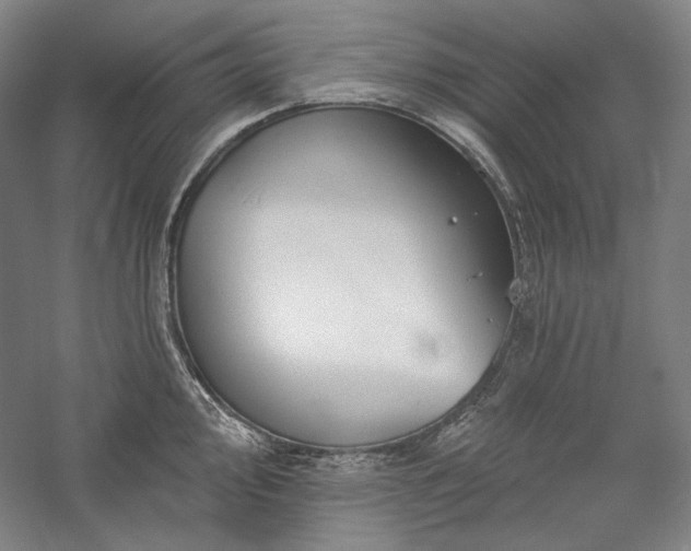 X0000060221000200510281103