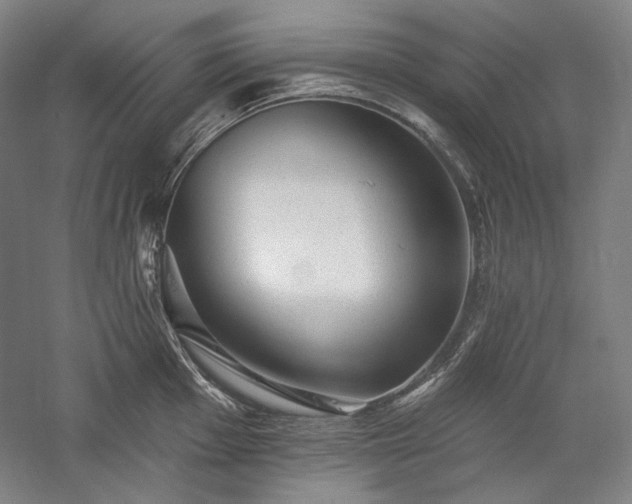 X0000060221001200510281103