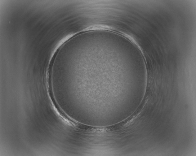 X0000060221003200510281103
