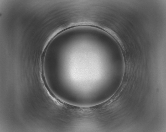 X0000060221006200510281103