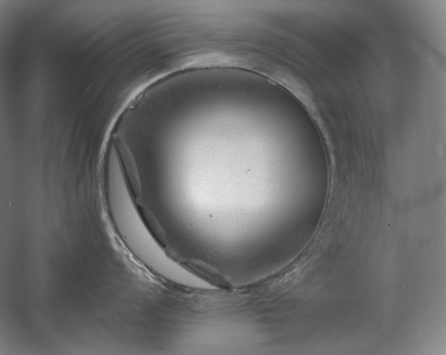 X0000060221008200510281103