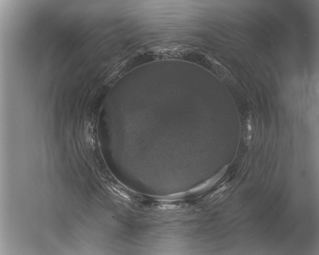 X0000060221010200510281102