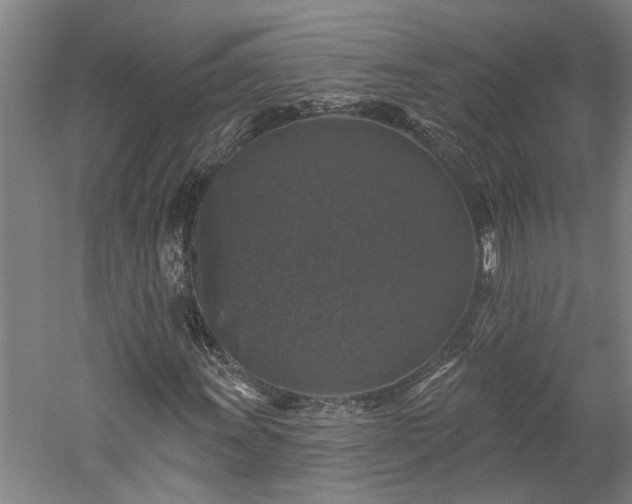 X0000060221011200510281102