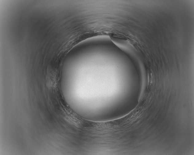 X0000060221012200510281102