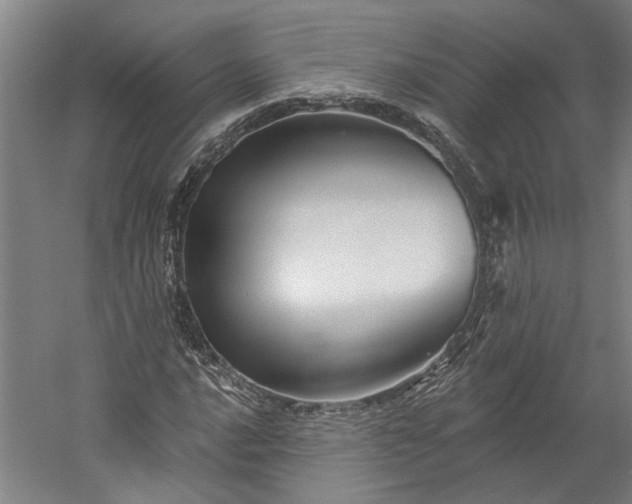 X0000060221016200510281102