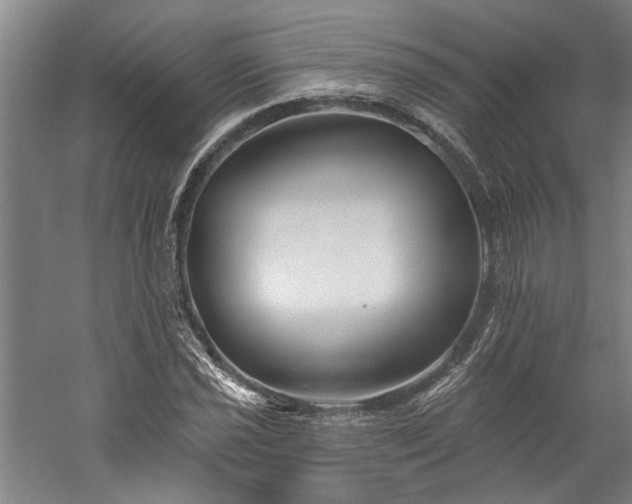 X0000060221021200510281102