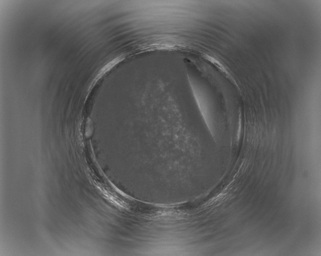 X0000060221026200510281102