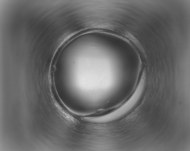 X0000060221028200510281102