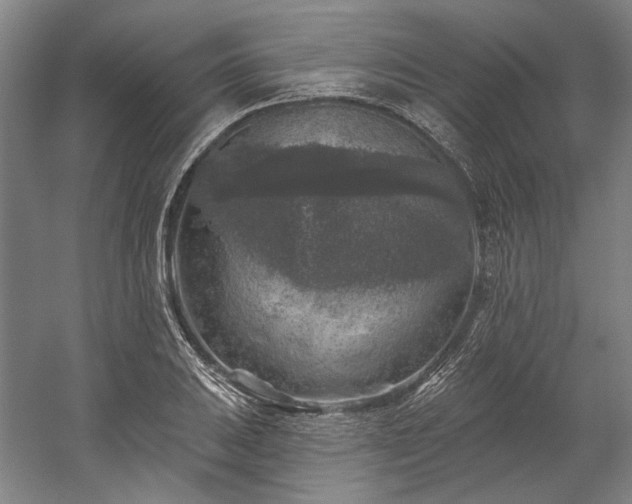 X0000060221031200510281102