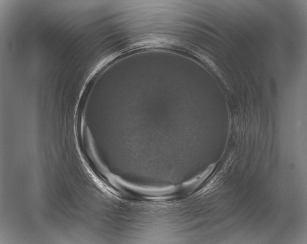 X0000060221034200510281102