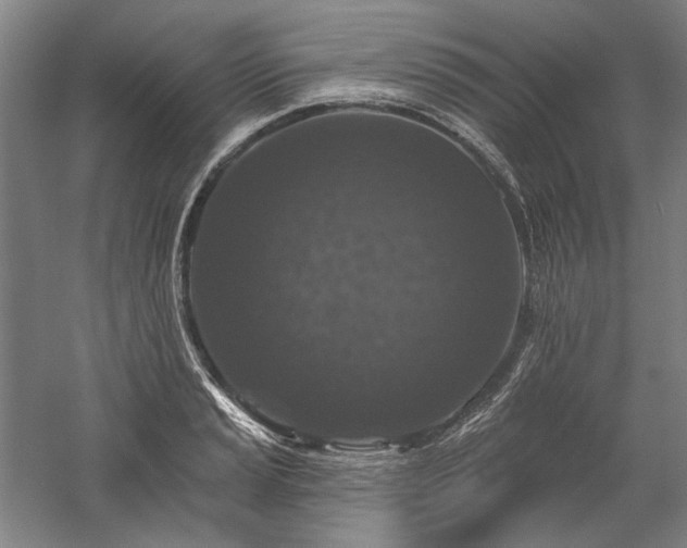 X0000060221037200510281102