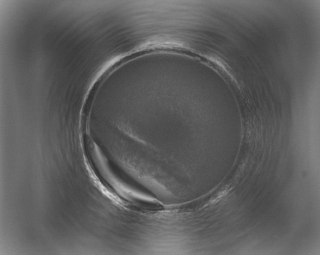 X0000060221038200510281102