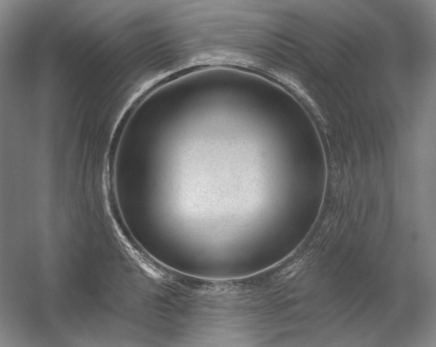 X0000060221040200510281102