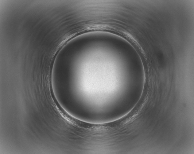 X0000060221041200510281102