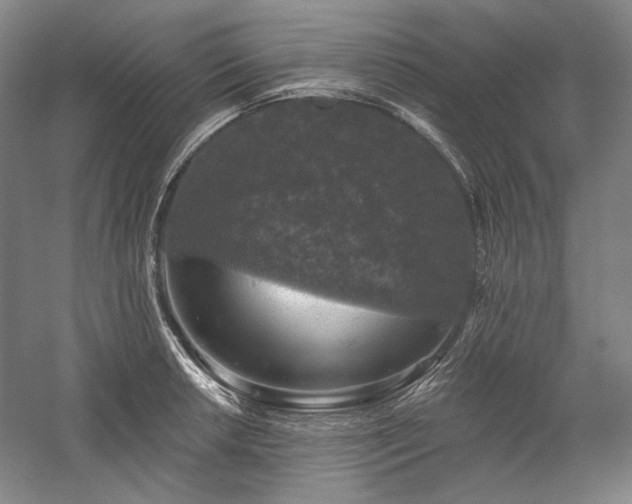 X0000060221042200510281103