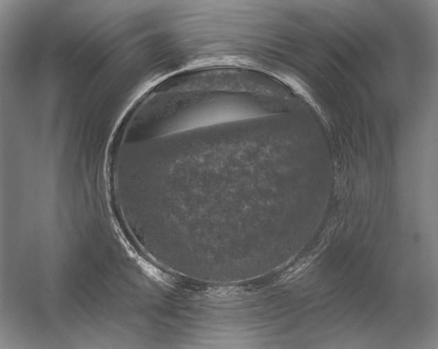 X0000060221046200510281103