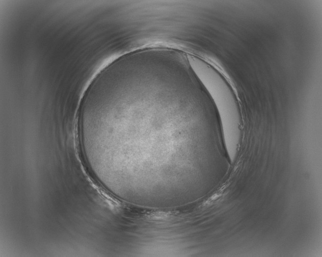 X0000060221048200510281103