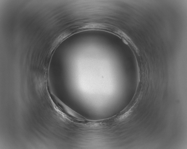 X0000060221049200510281103
