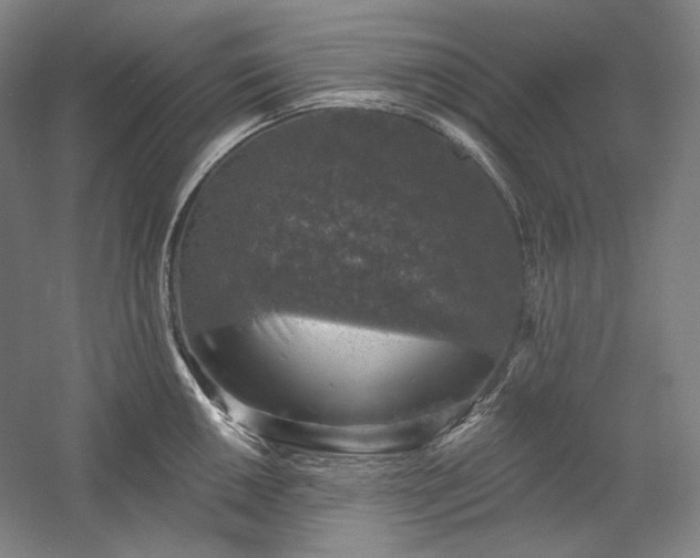 X0000060221050200510281103