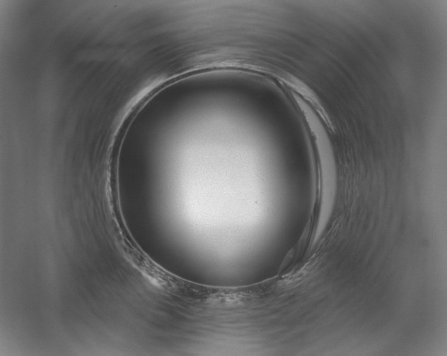 X0000060221051200510281103