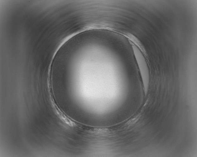 X0000060221052200510281103
