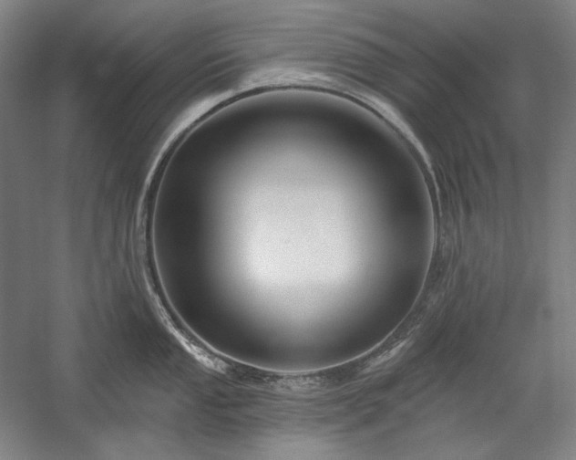 X0000060221053200510281103