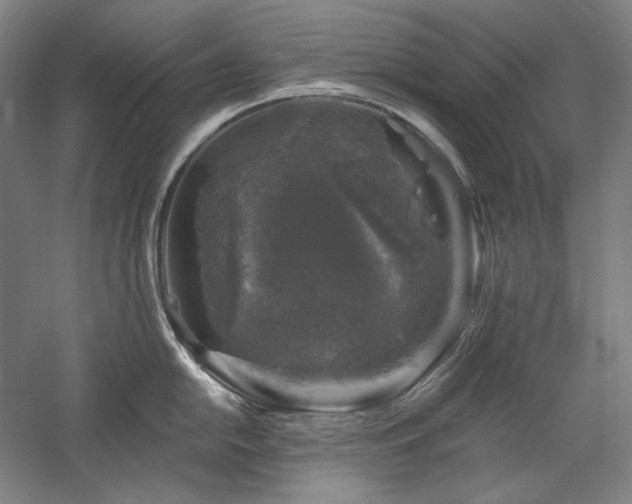 X0000060221054200510281103