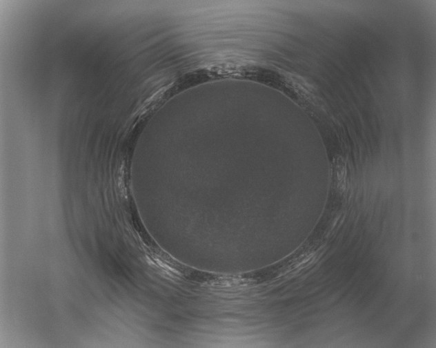 X0000060221060200510281102