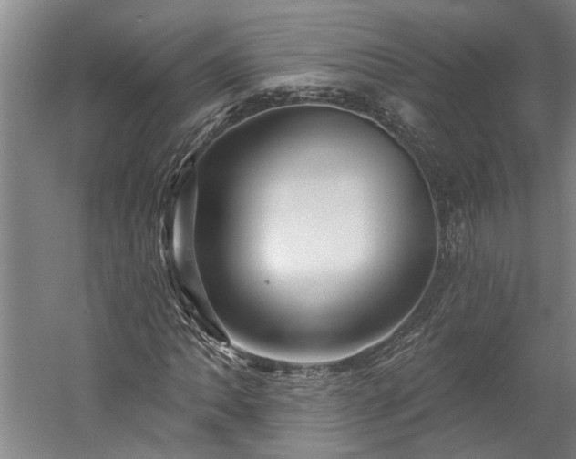X0000060221062200510281102