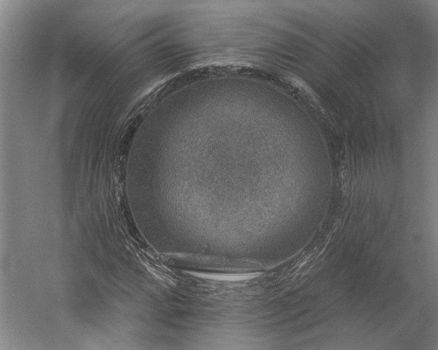 X0000060221064200510281102