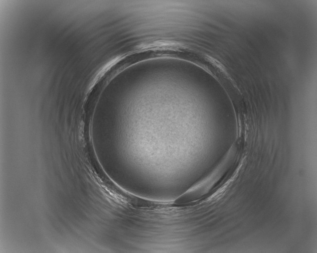 X0000060221066200510281102
