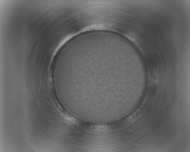 X0000060221070200510281102