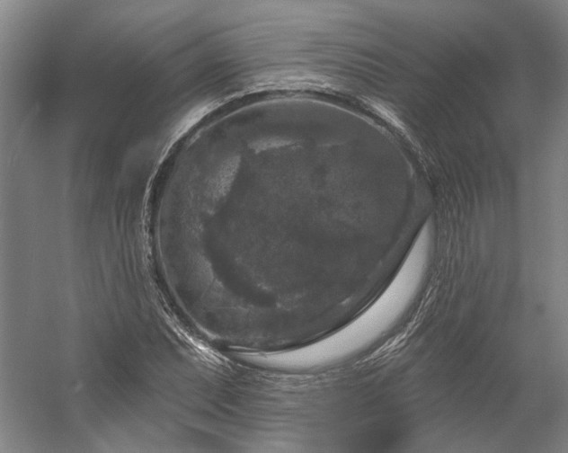 X0000060221071200510281102
