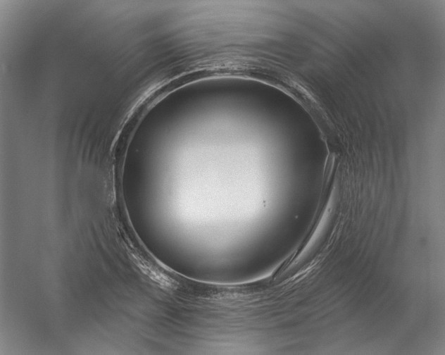 X0000060221075200510281102