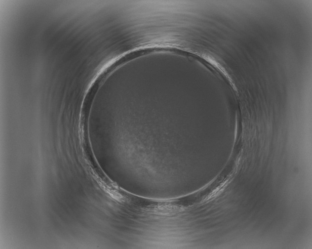 X0000060221077200510281102