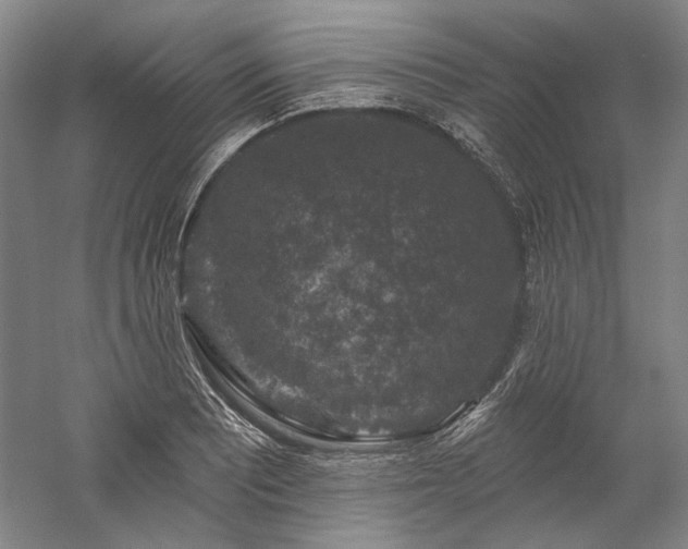 X0000060221081200510281102