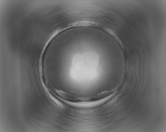 X0000060221083200510281101