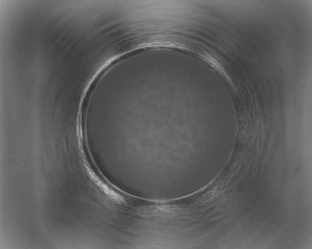 X0000060221084200510281101