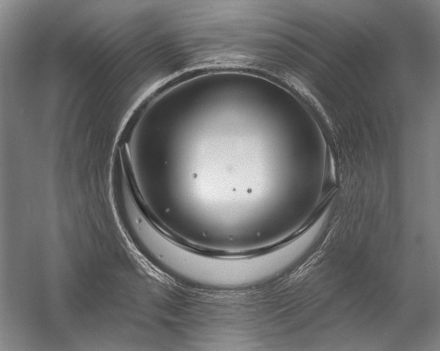 X0000060221085200510281101