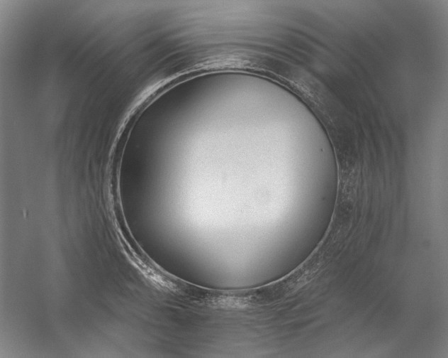 X0000060221086200510281101