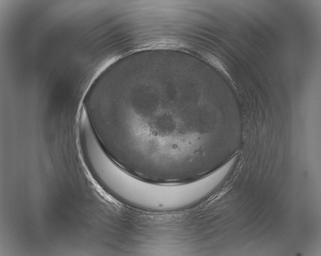 X0000060221087200510281101