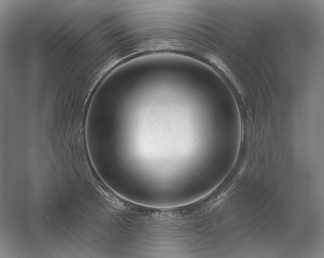 X0000060221089200510281101