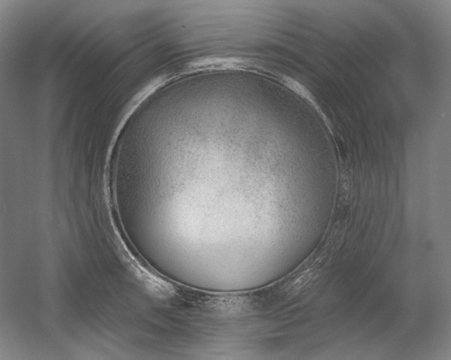 X0000060221090200510281101