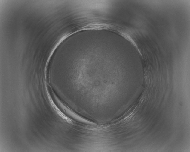 X0000060221091200510281101