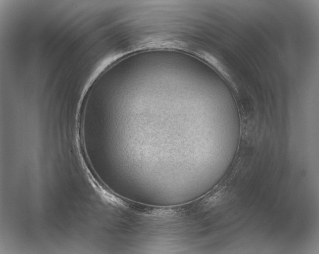 X0000060221094200510281101