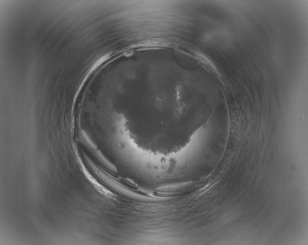 X0000060221095200510281101