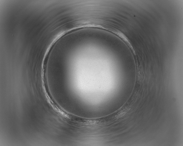 X0000060221096200510281101