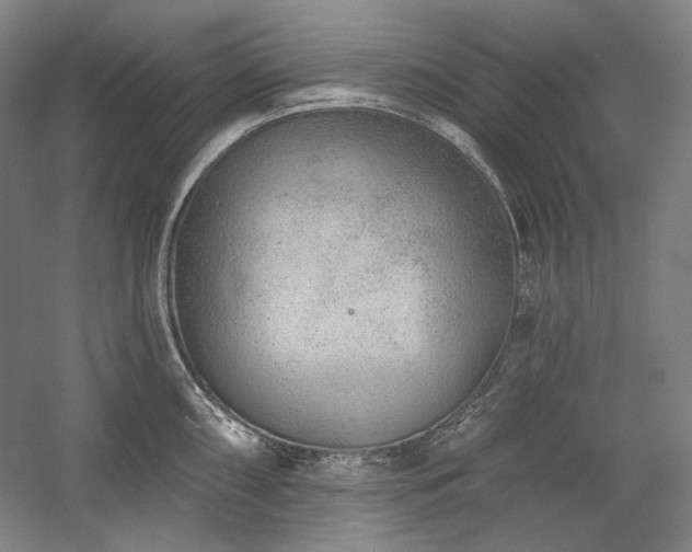 X0000060221098200510281101