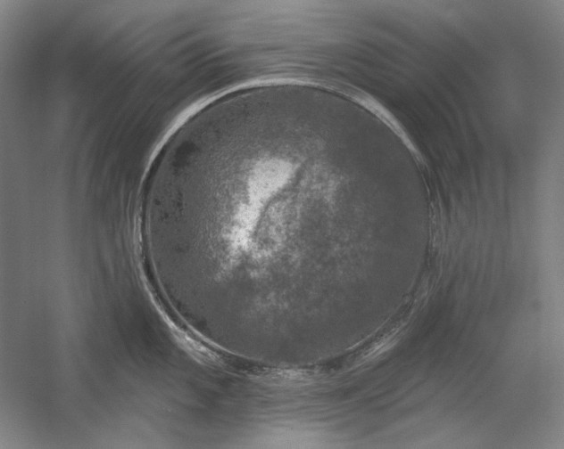 X0000060221101200510281101